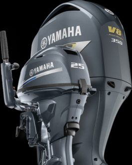 F350 Yamaha Outboard Motor