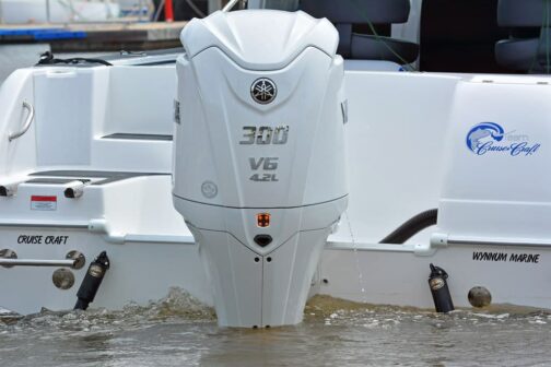 Outboards with EFI vs. Standard 4 Stroke Outboards