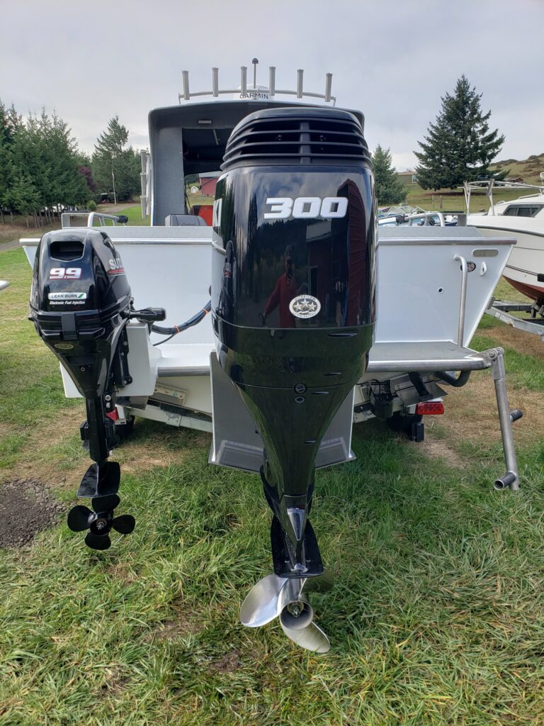 Suzuki DF300AP Outboard Motor