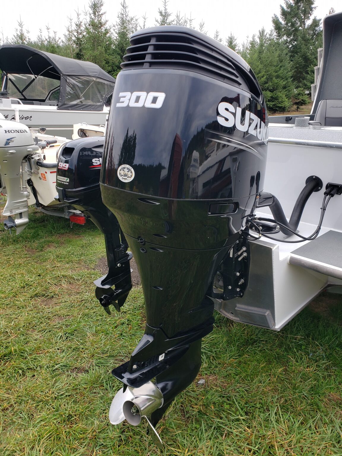 Suzuki DF300AP Outboard Motor