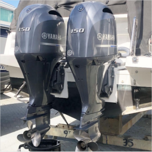 Read more about the article The Most Common Outboard Motor On The Market
